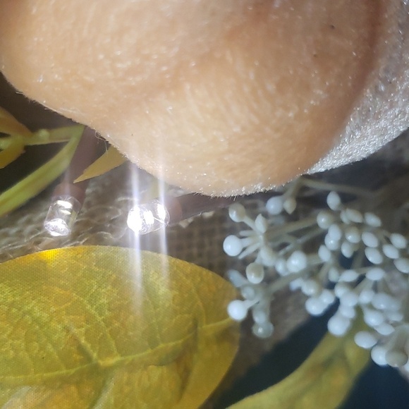 The Farmhouse Rachel Ashwell NWT Pumpkins Fall Leaves Light-up Wreath - Picture 5 of 7